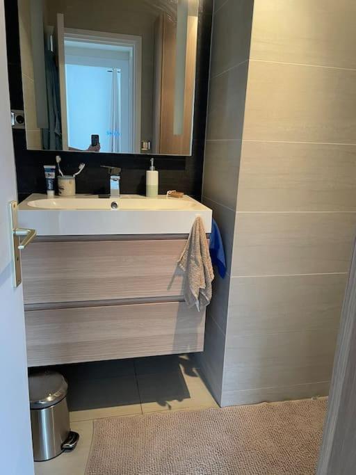 Appartement A 150M Du Lac- Plage De L'Imperial Annecy Eksteriør billede