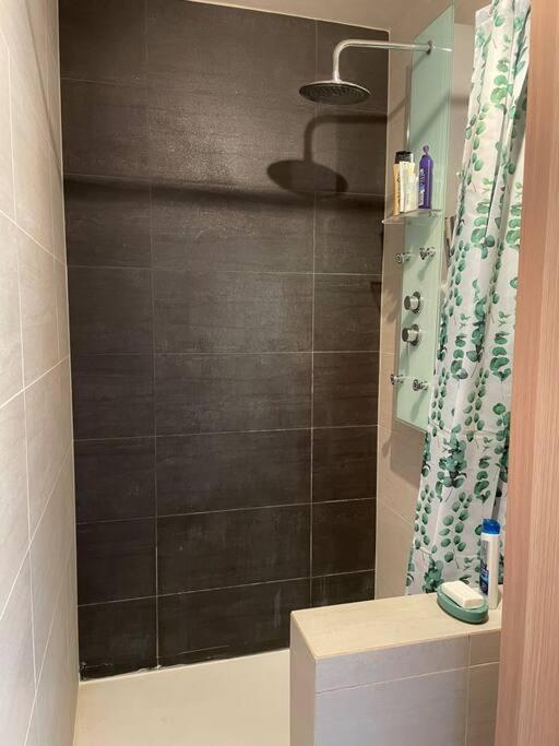 Appartement A 150M Du Lac- Plage De L'Imperial Annecy Eksteriør billede